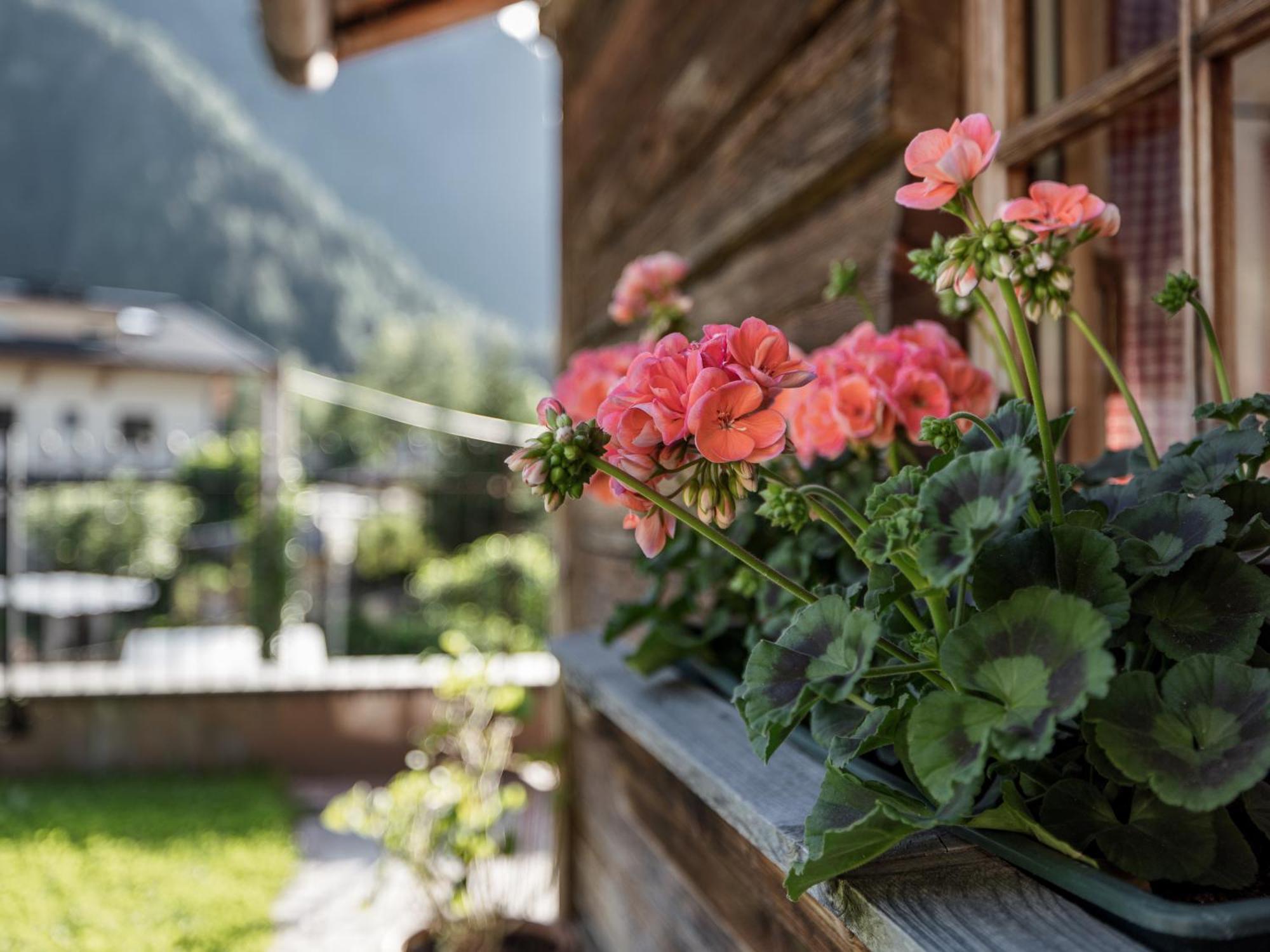Myalps Muehlhof Inklusive Sauna Эц Экстерьер фото